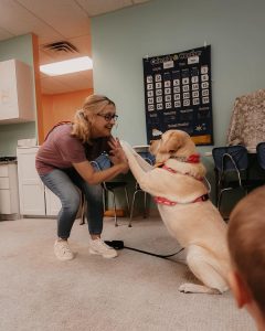 A woman wearing glasses gives a high five to a yellow dog in a pink harness. They are indoors, near a calendar and weather chart on the wall.