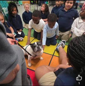 A group of young children sit and kneel on a colorful classroom rug, gathered around a small black-and-white dog on a leash, petting and looking at it. An adult is seated nearby, holding the dogs leash.
