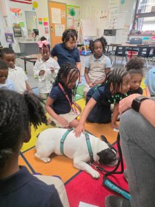 A group of young children sit in a colorful classroom, gathered around a black and white dog lying on a rug. Some children gently pet the dog while others watch closely. Classroom decorations and supplies are visible in the background.