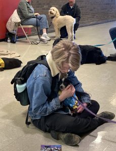 A person with short blonde hair, glasses, and a denim jacket sits on the floor cuddling a small dog in a blue shirt. Other dogs and people are in the background in a spacious indoor area.