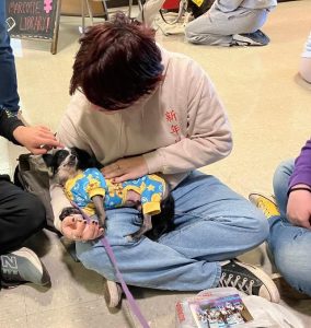 A person sitting cross-legged on the floor pets a small black and white dog wearing a colorful outfit, while another person reaches in to pet the dog. Other people are sitting nearby in a casual indoor setting.