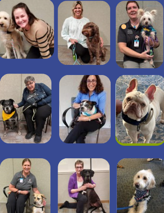 A collage of people smiling and posing with various therapy dogs, including a French bulldog, a golden retriever, a poodle mix, and other breeds, against neutral backgrounds.