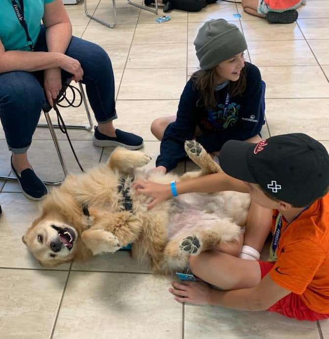 two kids playing with a golden retriever