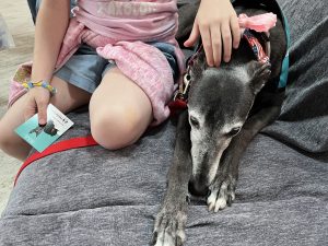A child sits on a gray couch next to a black and gray dog wearing a pink flower and red leash. The child is petting the dogs head and holding a card with a dog photo and logo on it.