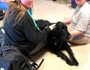 Two people sitting on the floor petting a large black dog that is lying down. One person has a black backpack next to them, and the setting appears to be indoors with a tiled floor.