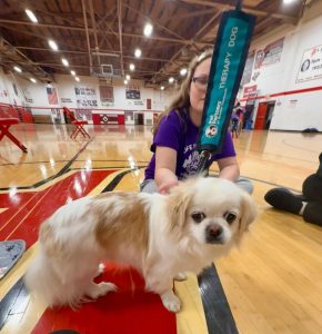 A small white and tan therapy dog stands on a gym floor next to a person wearing glasses and a purple shirt, with gym equipment and people visible in the background.