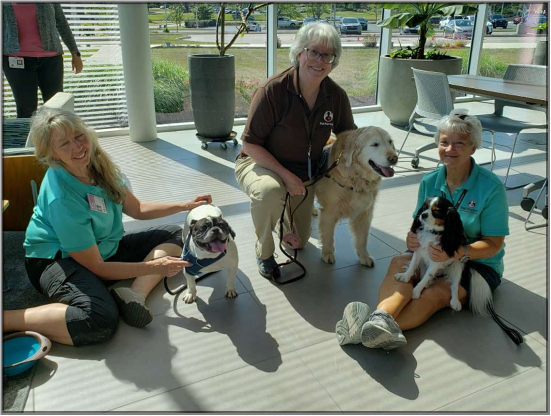 pet partners members and their dogs