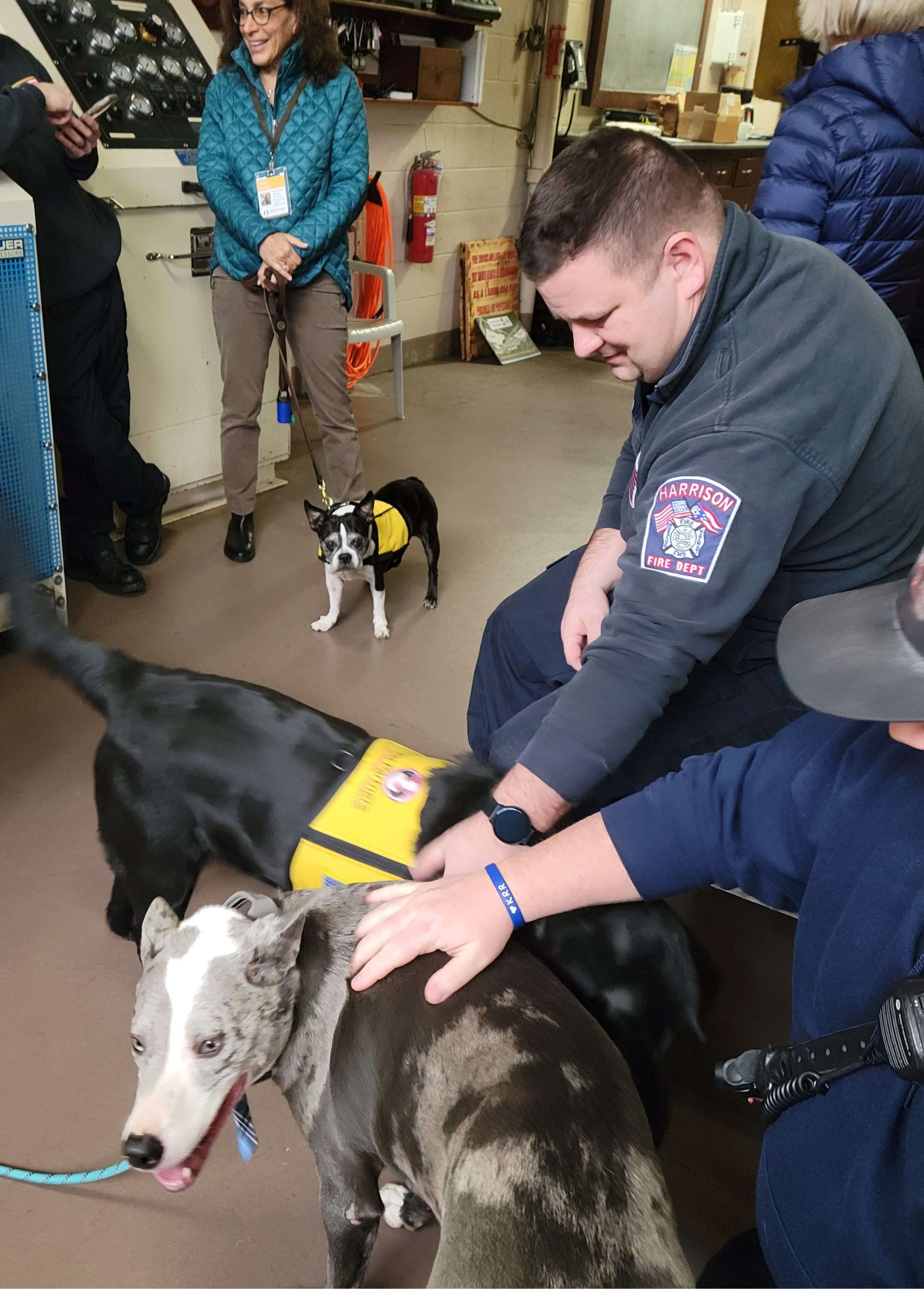 two therapy dogs with a firefighter