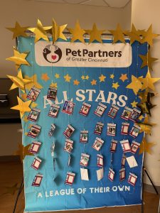A display with a blue backdrop reads Pet Partners of Greater Cincinnati ALL STARS A LEAGUE OF THEIR OWN, decorated with gold stars and hanging name tags featuring photos and information.