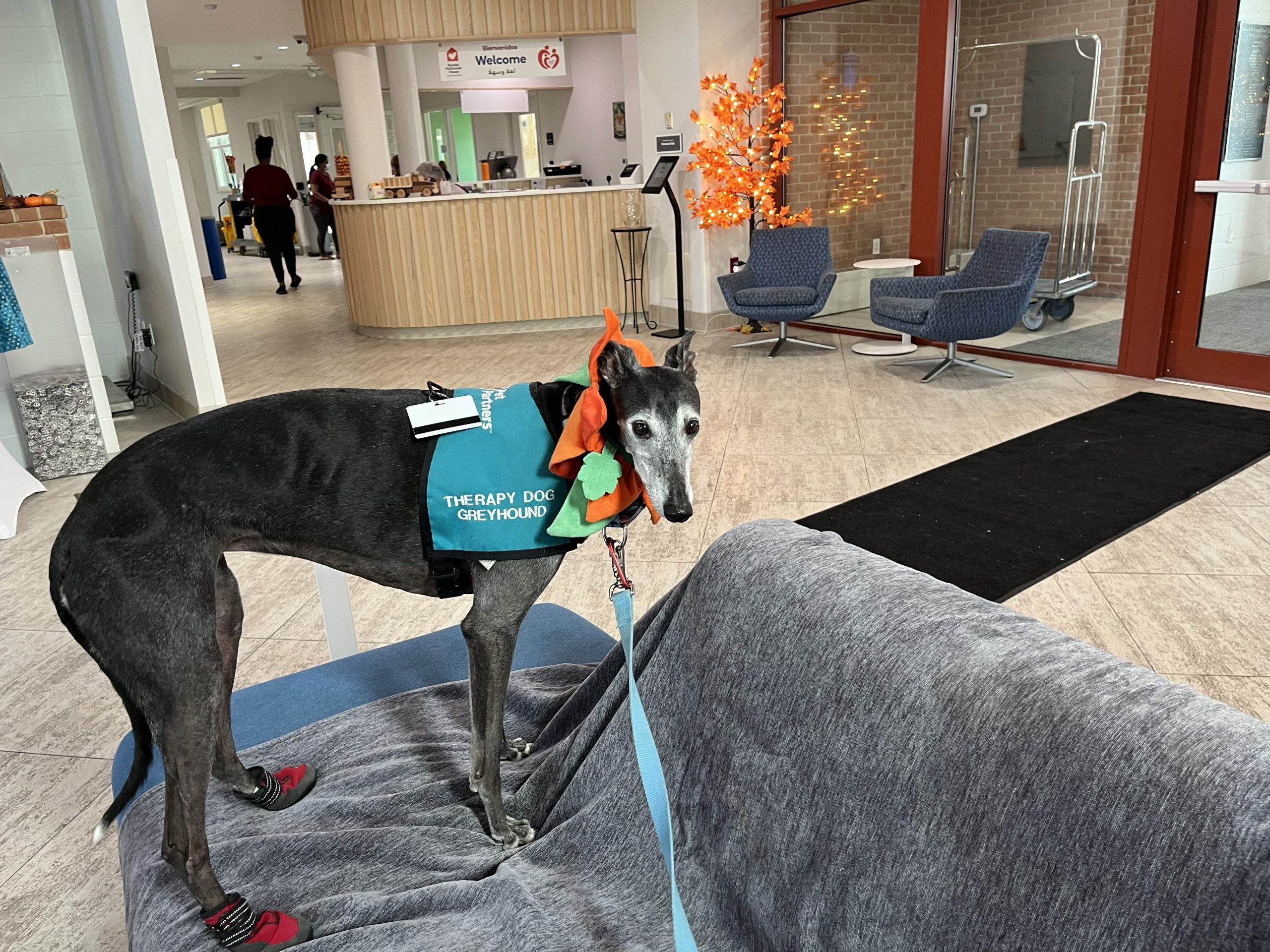 Featured image for: Ronald McDonald House Southwest Ohio