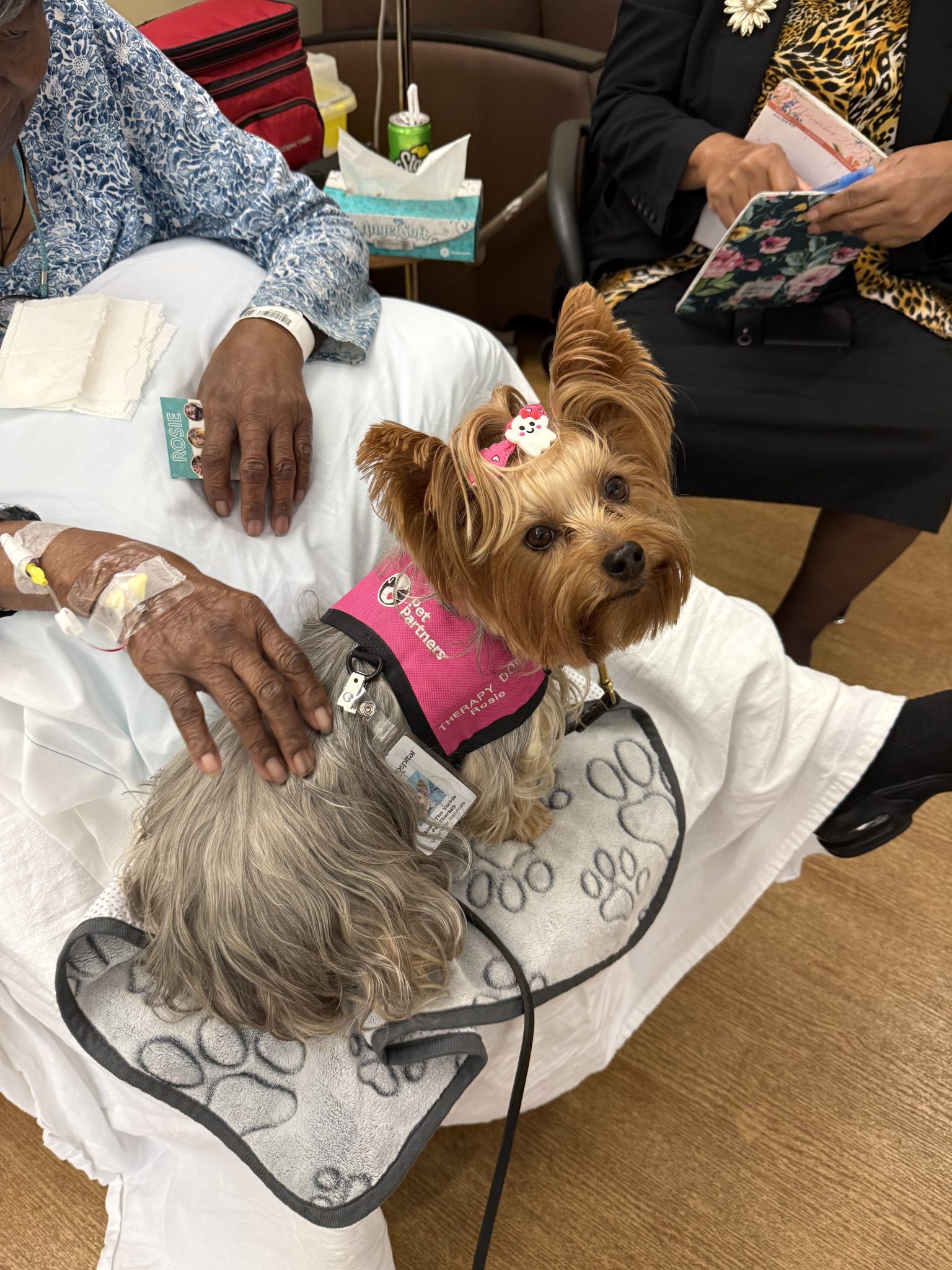 The Christ Hospital - Red Bank - Pet Partners of Greater Cincinnati
