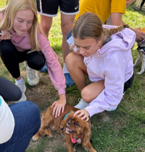 Two girls crouched on the grass pet a brown Cavalier King Charles Spaniel wearing a pink collar.