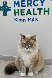 Featured image for: Mercy Health Kings Mill