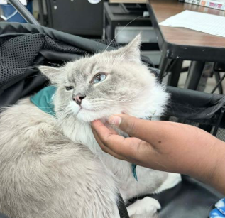 Featured image for: Lebanon Junior High School