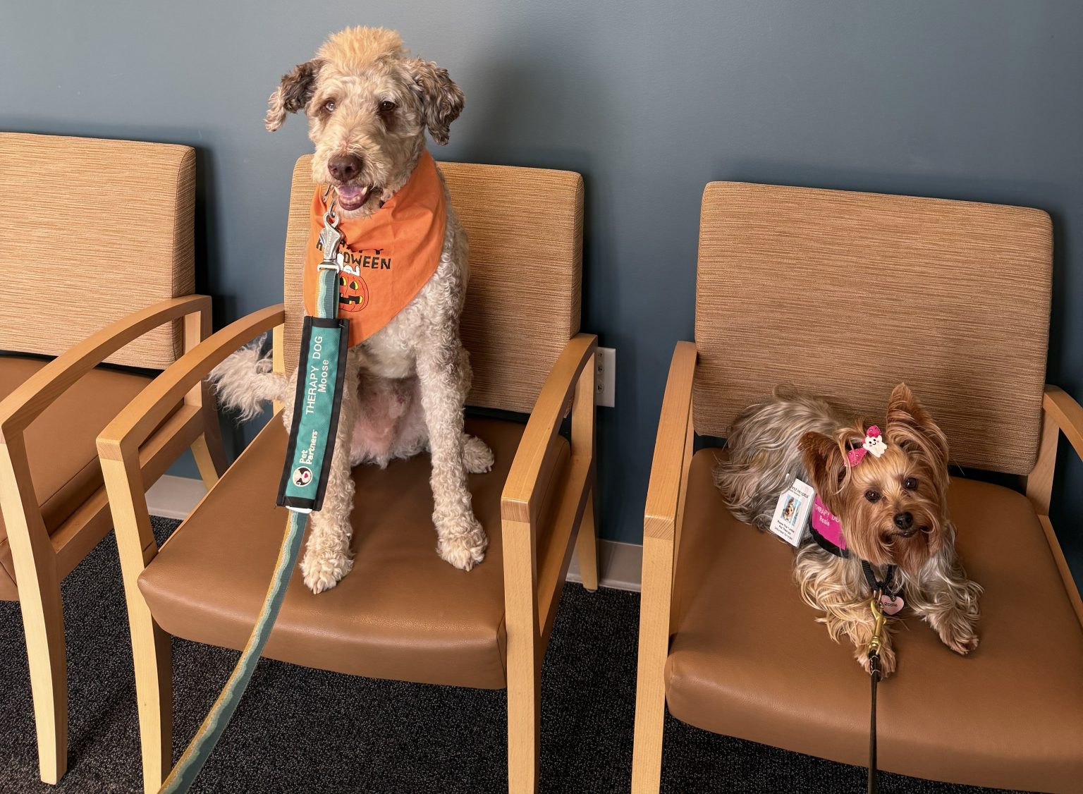 The Christ Hospital - Red Bank - Pet Partners of Greater Cincinnati