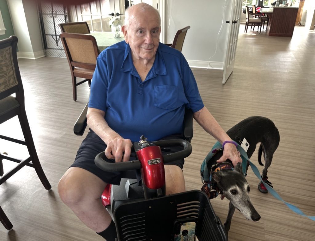 An elderly man in a blue polo shirt sits on a red motorized scooter, his hand resting on a greyhound wearing a patterned harness.