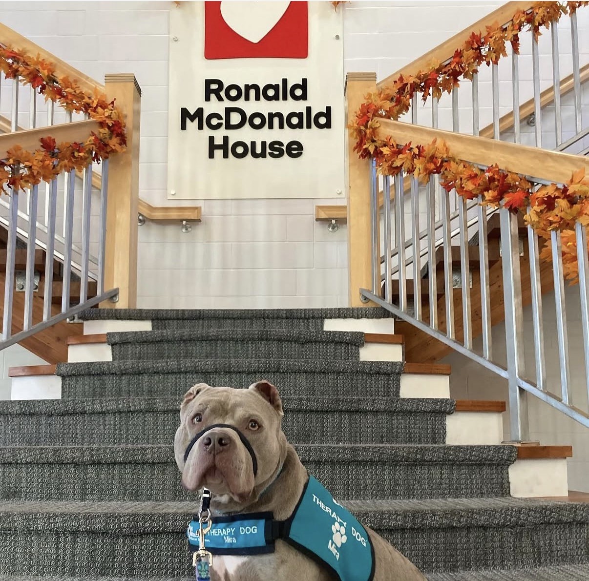 Featured image for: Ronald McDonald House Southwest Ohio