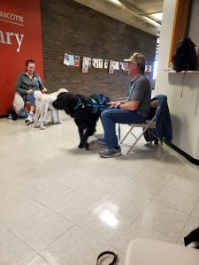 Two people sit on chairs in a hallway; each has a large dog, one white and one black, both wearing harnesses. There are papers pinned to a brick wall behind them and a red wall labeled library on the left.
