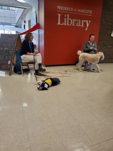 Two women sit near a sign in a library. One has a Boston Terrier in a yellow vest lying on the floor, the other has a large white dog on a leash. A red wall reads “Frederick A. Marcotte Library” in the background.